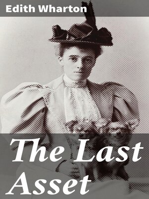 cover image of The Last Asset
